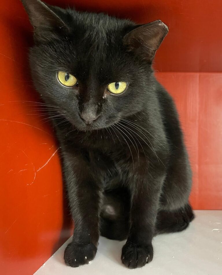 multimedia-foto76515-394-1