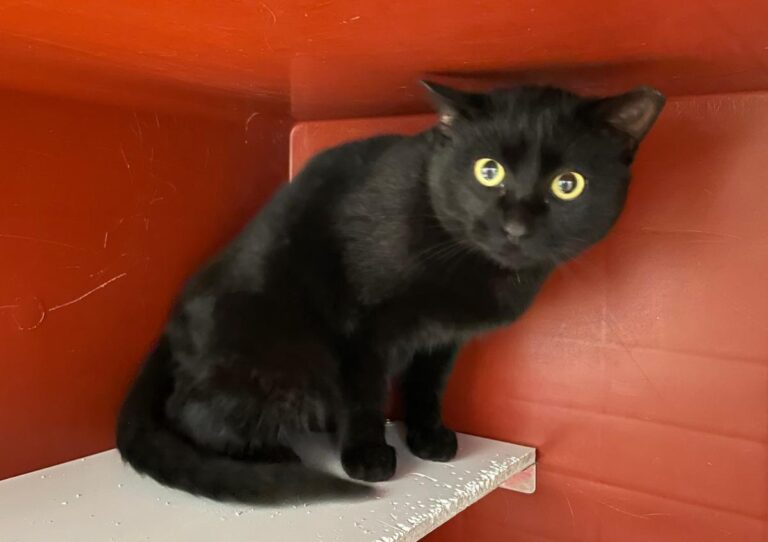 multimedia-foto76517-394-1