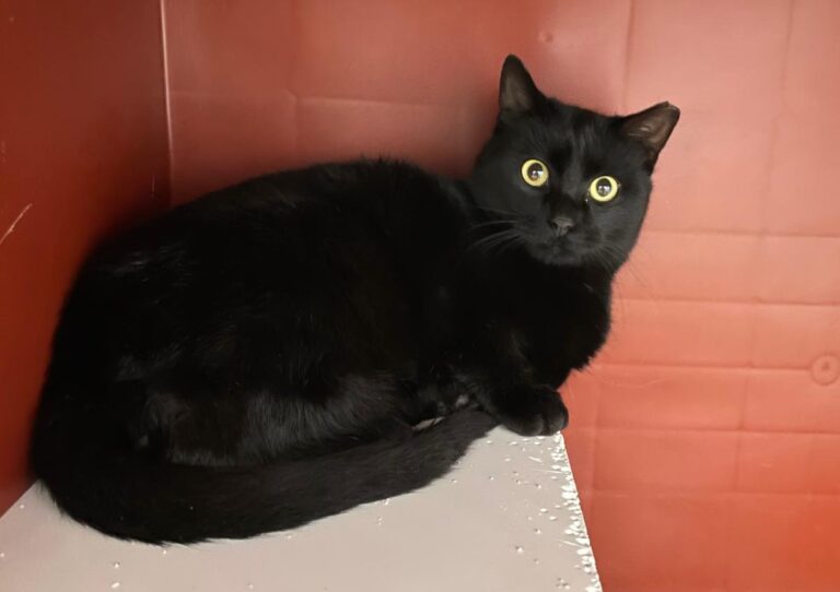 multimedia-foto76518-394-1