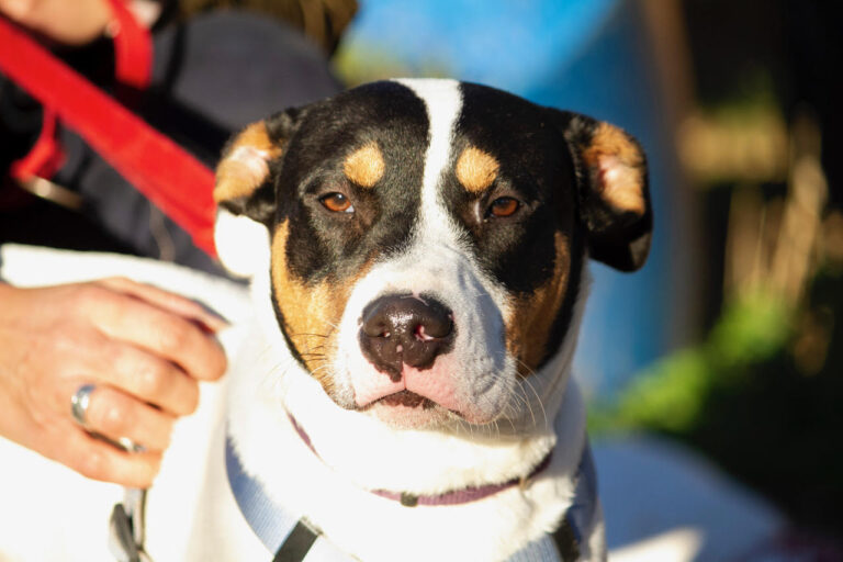 multimedia-foto76561-707-1