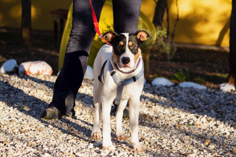 multimedia-foto76562-707-1