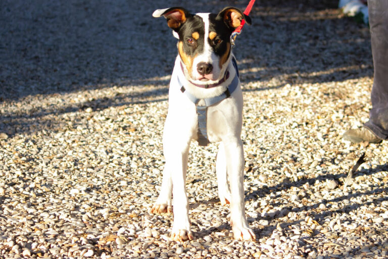 multimedia-foto76563-707-1