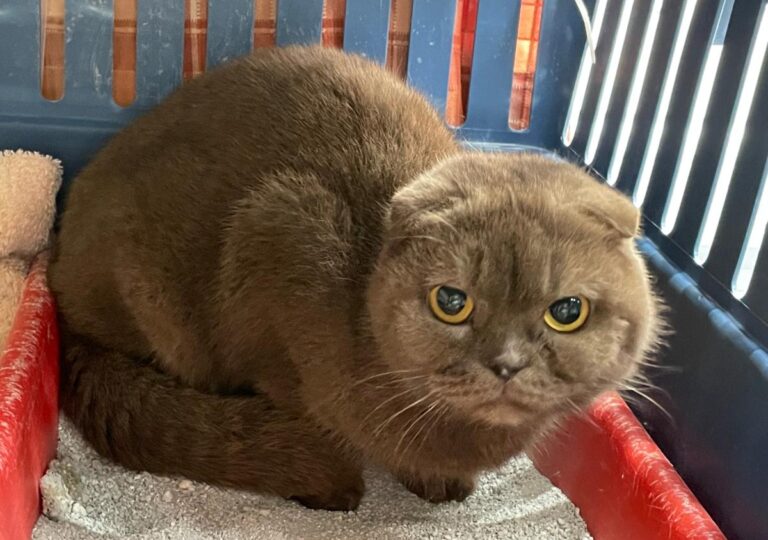 multimedia-foto76586-97-1