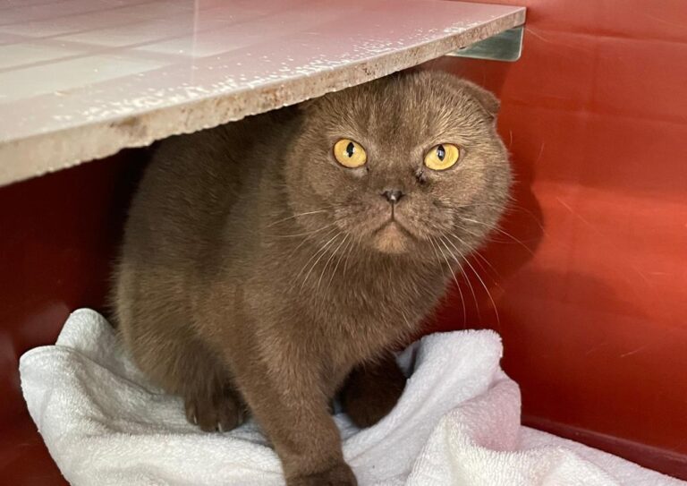 multimedia-foto76588-97-1