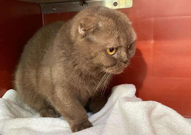 multimedia-foto76590-98-1