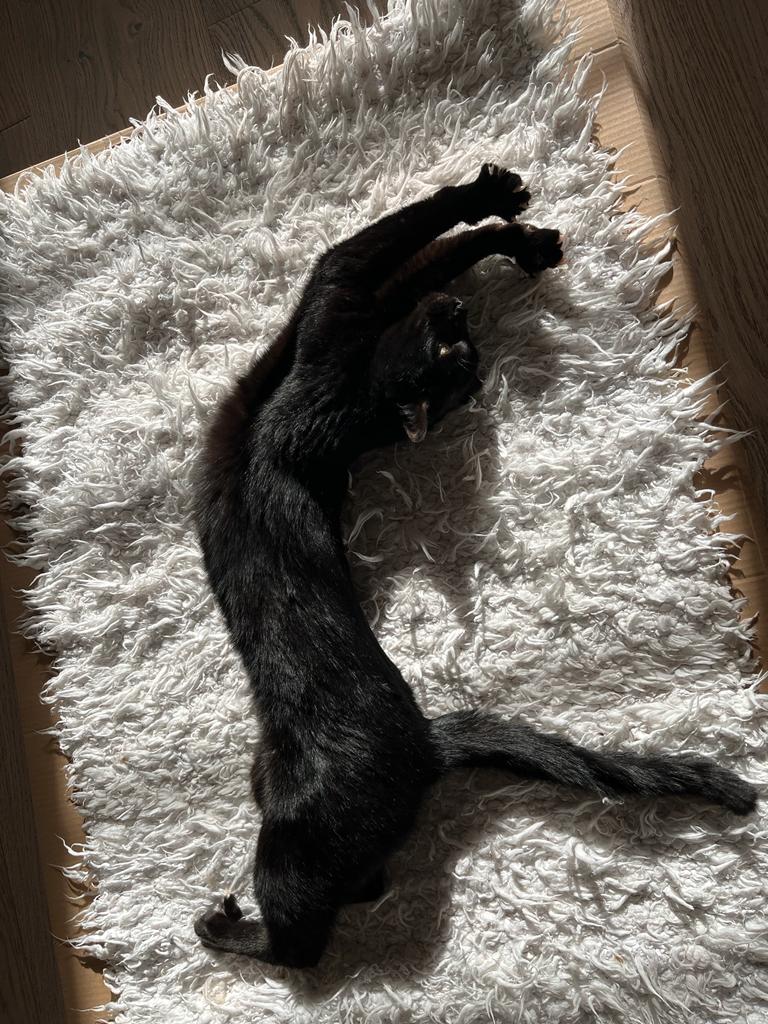 multimedia-foto76599-629-1