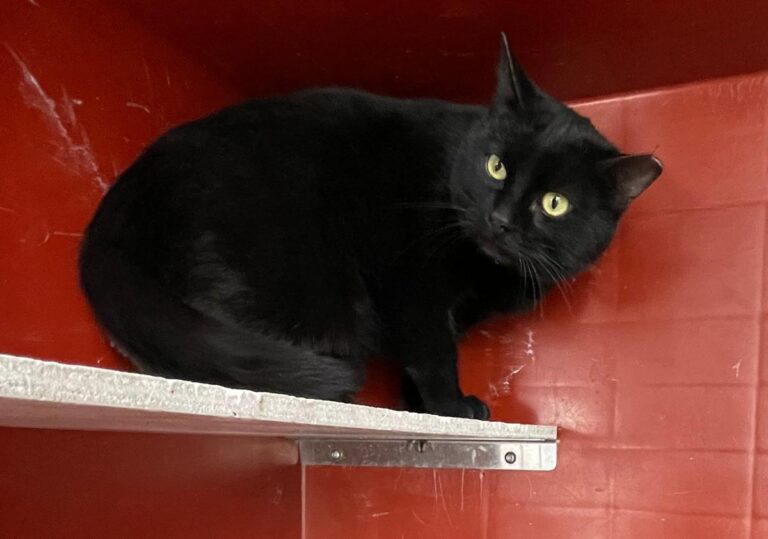 multimedia-foto76605-6-1