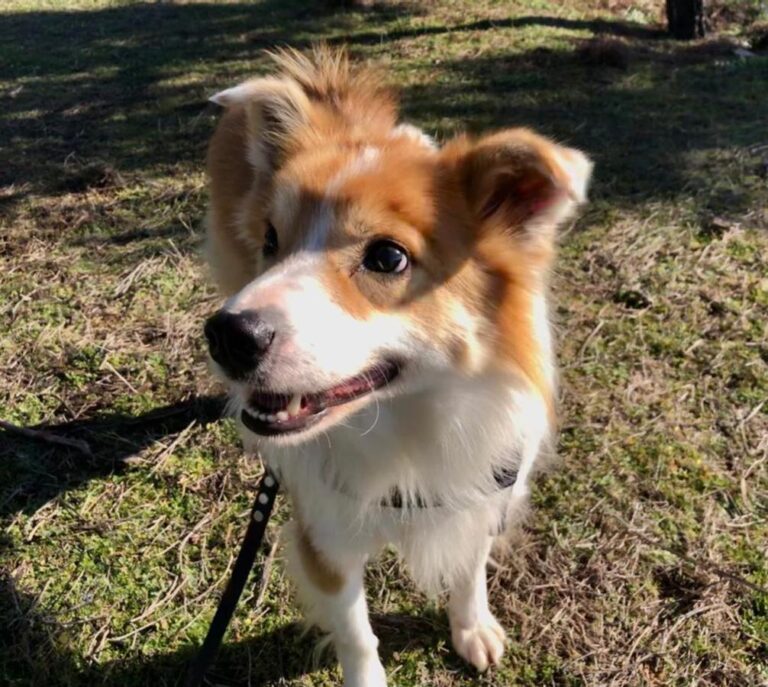 multimedia-foto76609-519-1