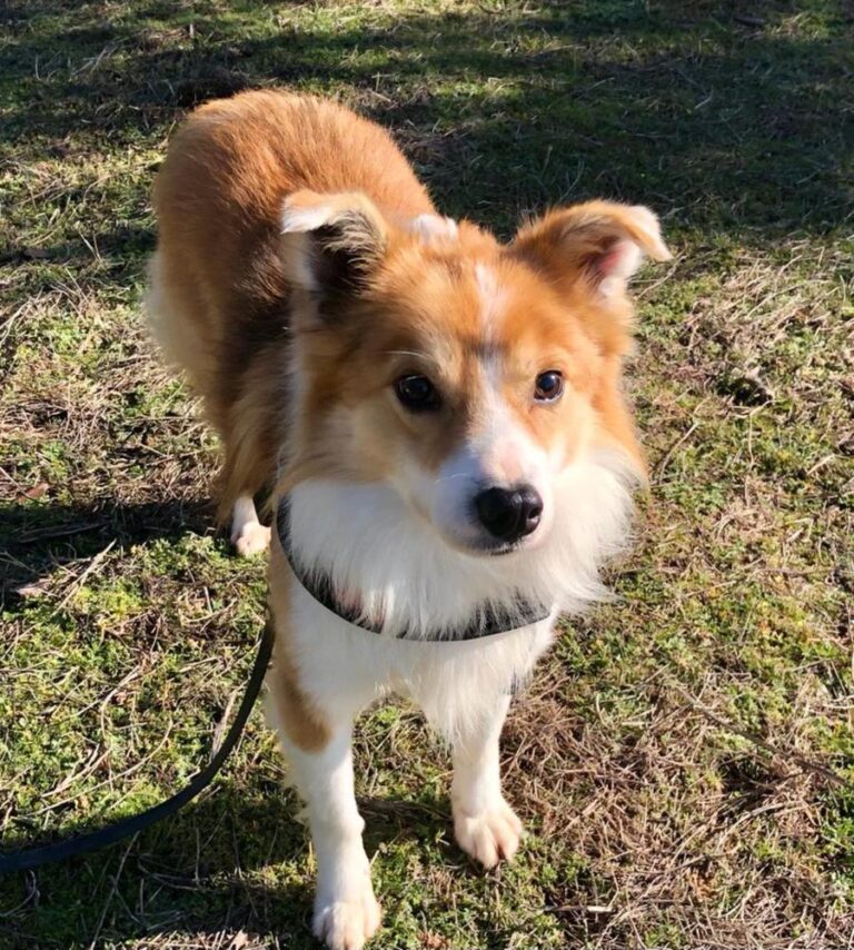 multimedia-foto76611-519-1