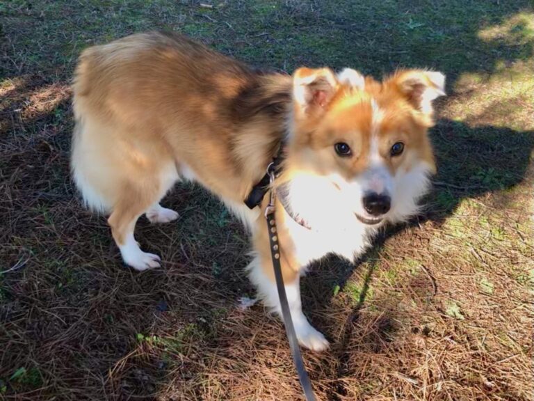 multimedia-foto76612-520-1