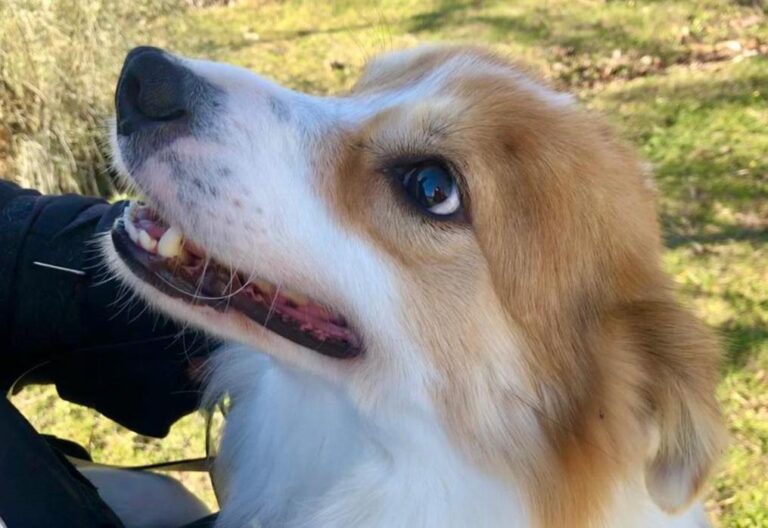 multimedia-foto76615-520-1