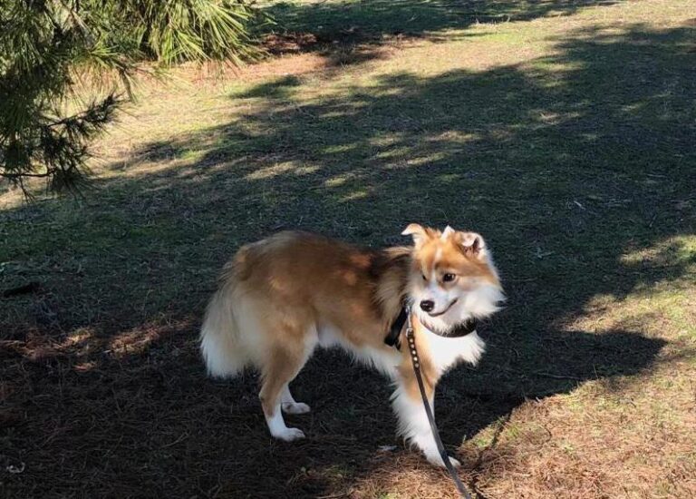 multimedia-foto76616-520-1