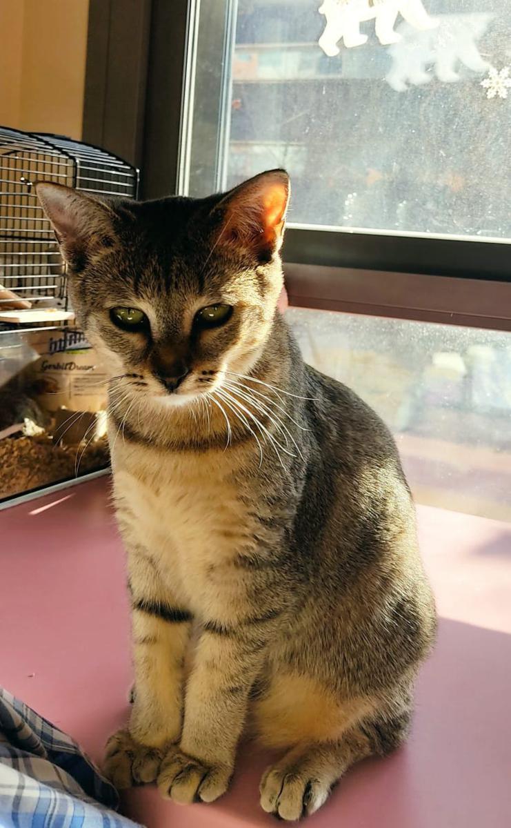 multimedia-foto76666-742-1