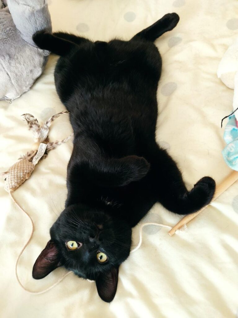 multimedia-foto76668-766-1