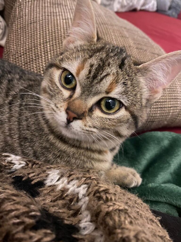 multimedia-foto76684-437-1