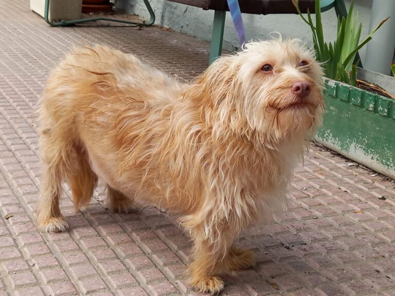 multimedia-foto76706-780-1