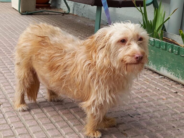 multimedia-foto76707-780-1