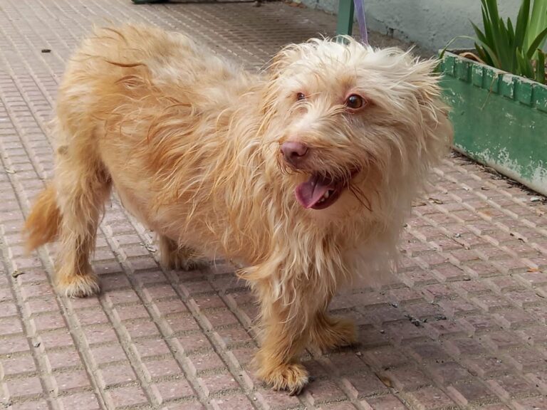 multimedia-foto76708-780-1