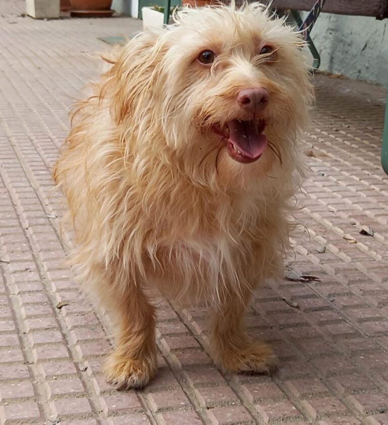 multimedia-foto76710-781-1