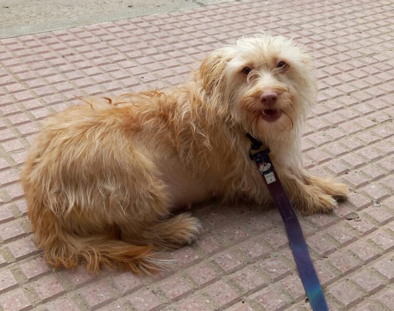 multimedia-foto76711-781-1