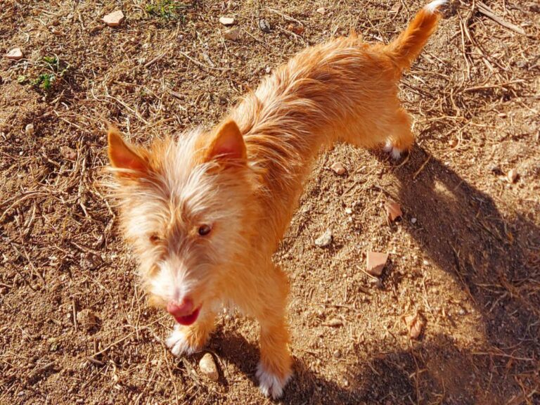 multimedia-foto76713-123-1