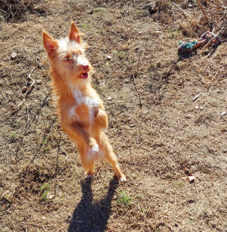 multimedia-foto76714-123-1