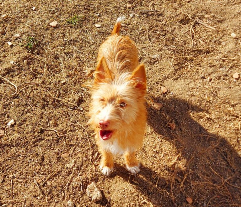 multimedia-foto76715-124-1