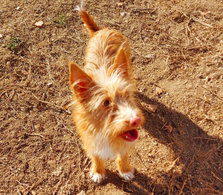 multimedia-foto76716-124-1