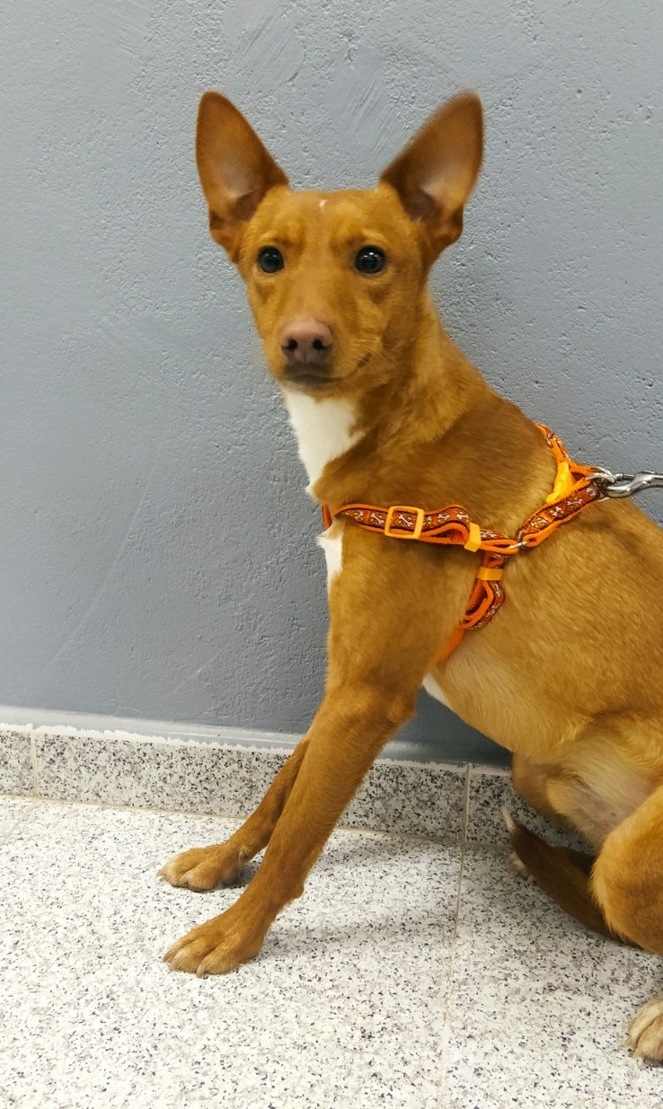 multimedia-foto76800-574-1