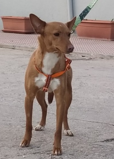 multimedia-foto76801-574-1