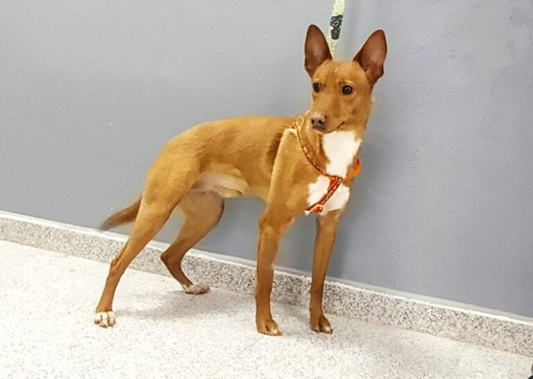 multimedia-foto76803-574-1