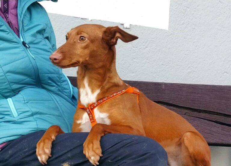 multimedia-foto76805-812-1