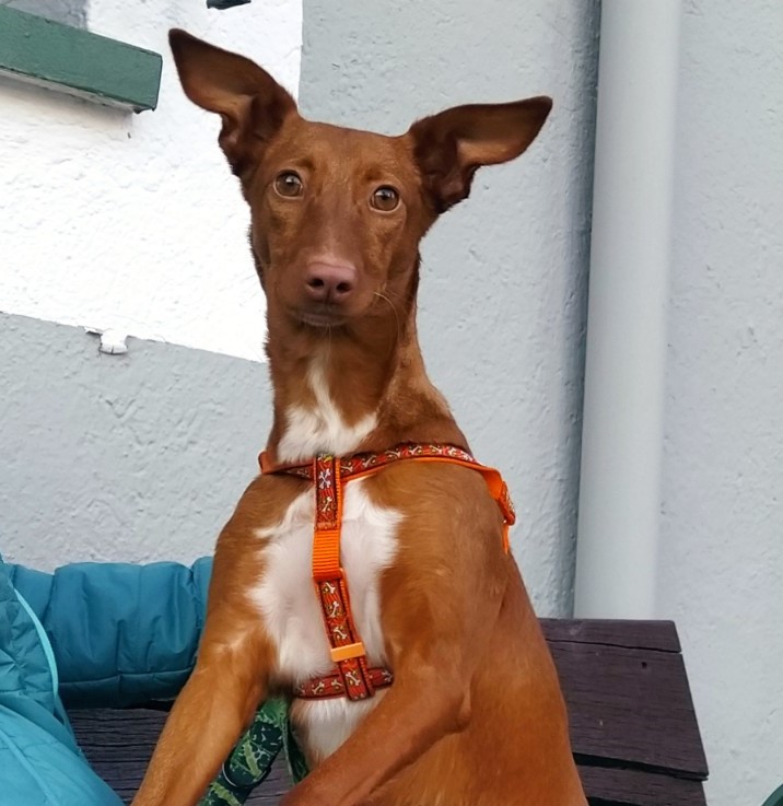 multimedia-foto76806-812-1