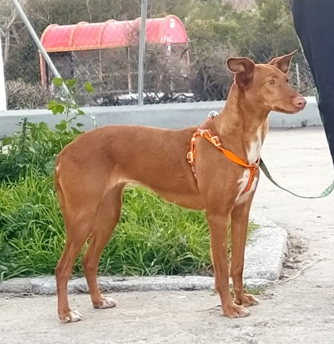 multimedia-foto76807-812-1