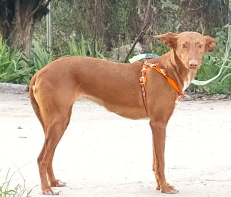 multimedia-foto76809-812-1