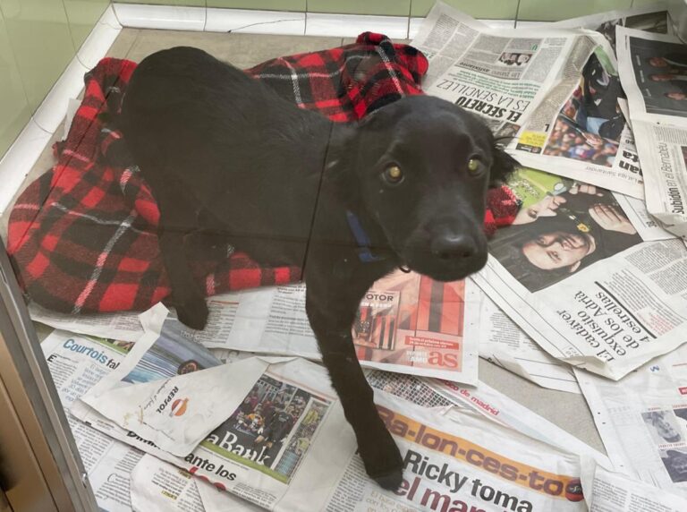 multimedia-foto76860-277-1