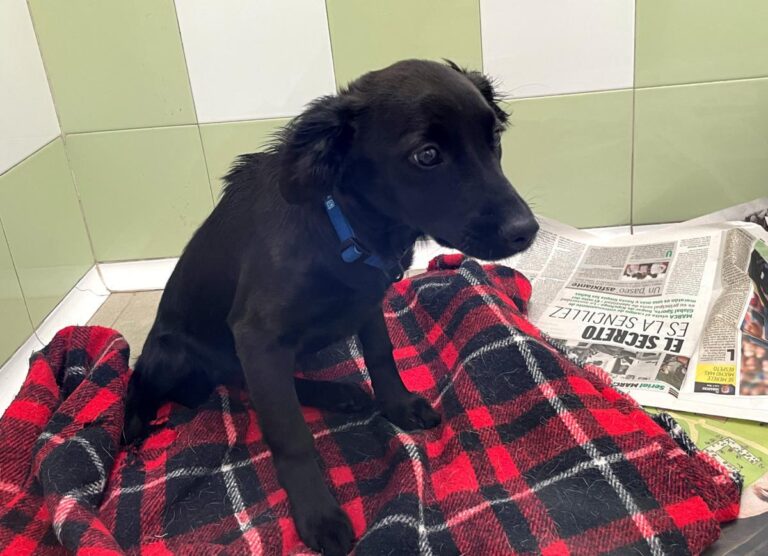 multimedia-foto76861-277-1