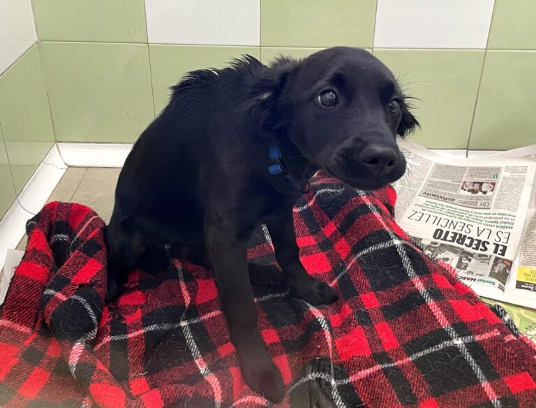 multimedia-foto76862-277-1