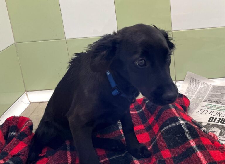 multimedia-foto76863-277-1