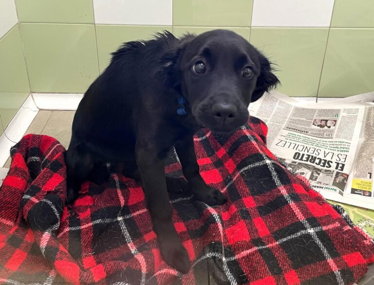 multimedia-foto76864-277-1