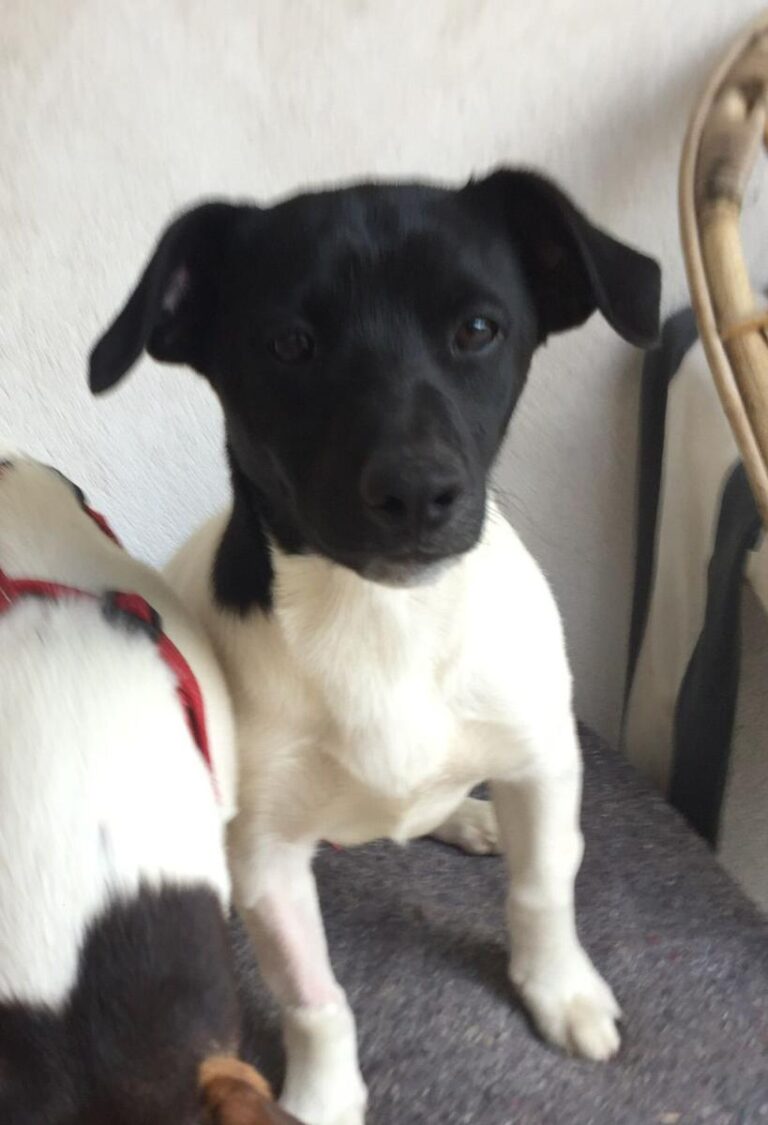 multimedia-foto76866-620-1