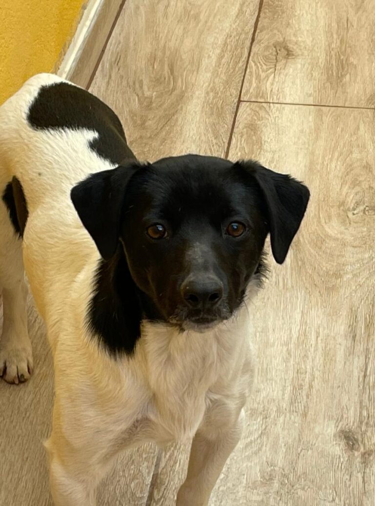 multimedia-foto76870-621-1