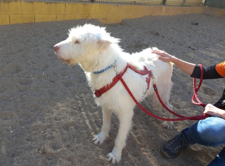 multimedia-foto76936-106-1