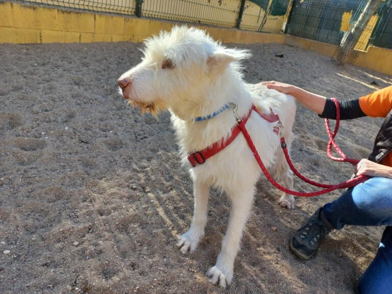 multimedia-foto76937-106-1