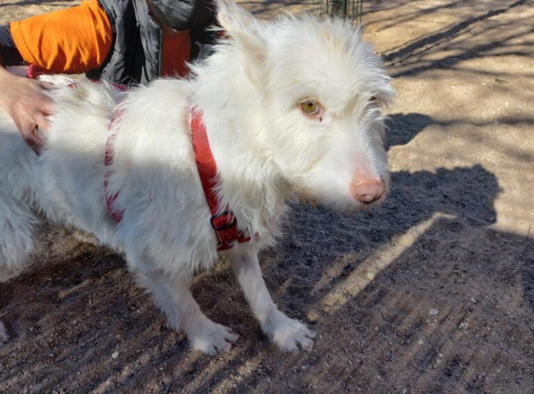 multimedia-foto76938-106-1