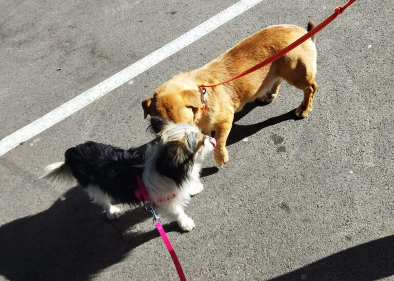 multimedia-foto76959-838-1