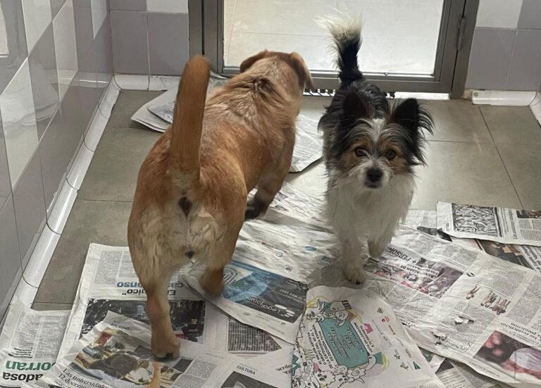 multimedia-foto76960-838-1