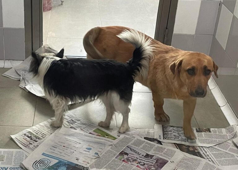 multimedia-foto76961-839-1