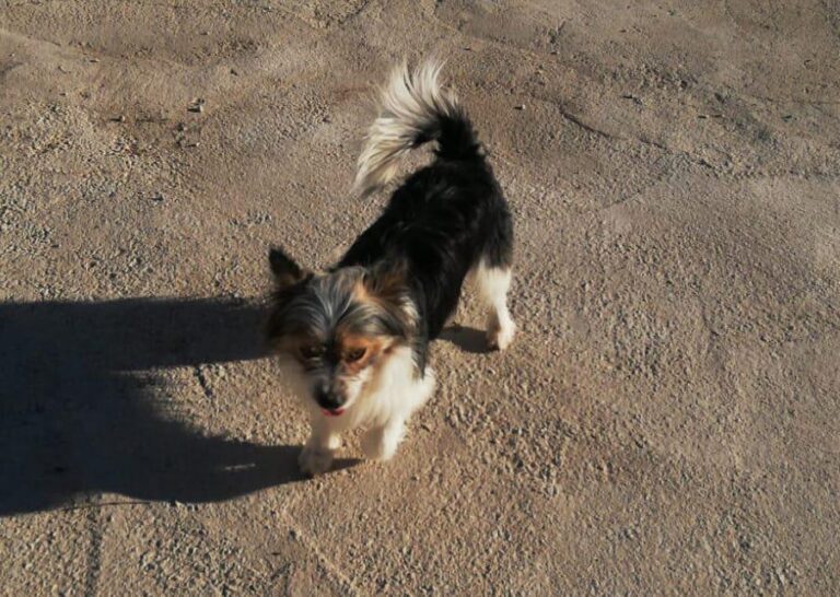 multimedia-foto76962-839-1