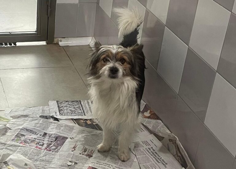 multimedia-foto76963-839-1